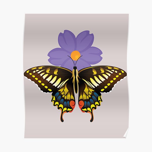 Encanto Butterfly                  Poster RB3005 product Offical encanto Merch